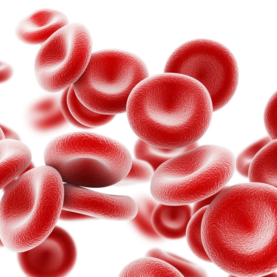 Red blood cells